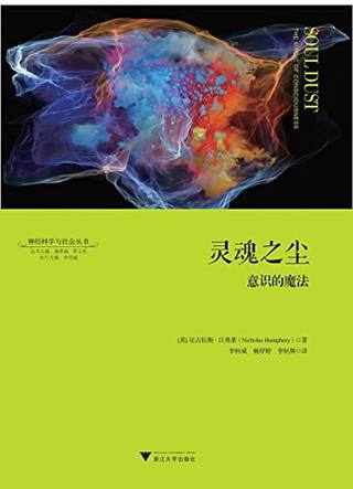 灵魂之尘封面