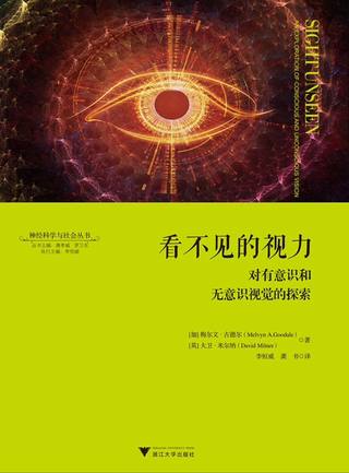 看不见的视力封面